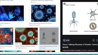 What Are Viruses